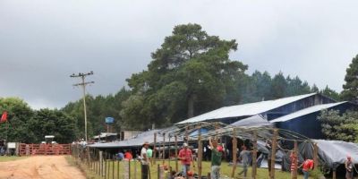 Brigada Militar cumpre reintegração de posse em Tapes na manhã desta quarta