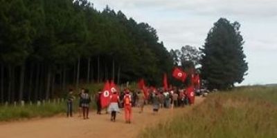 Após desocupação da fazenda Gerra, sem-terras fazem caminhada até a cidade de Tapes