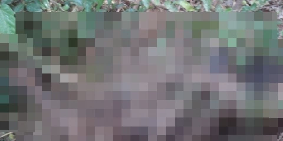 Cadáver é encontrado no interior de Dom Feliciano