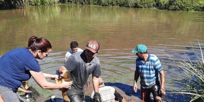 EMEF Chequer Buchaim realiza despesca em açude da escola