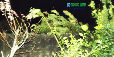 Tempestade de vento causa prejuízos em Camaquã e região