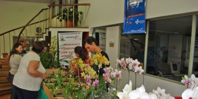 XXII Exposição Regional de Orquídeas de Camaquã será nos dias 9 e 10 de maio