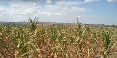 Estado homologa situação de emergência em Santa Vitória do Palmar