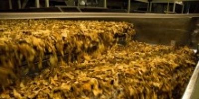 Audiência pública debate comercialização da safra do tabaco