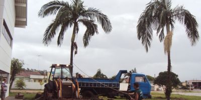 Camaquã - Loteamento das Flores e Nova praça dos Bombeiros recebem arborização