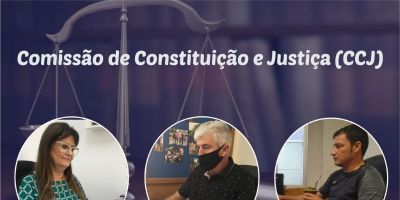 Reunião da CCJ vota a favor de doação de área pública para agrocomercial em Camaquã