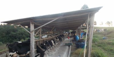 Dom Feliciano realiza dia de campo