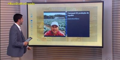 Agricultor camaquense é homenageado pelo Dia do Campo