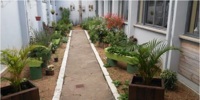 Projeto ‘Fitoterápicos Plante esta ideia’ comemora um ano