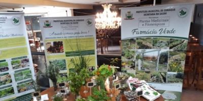 Mostra de Plantas Medicinais será realizada nesta quarta em Camaquã