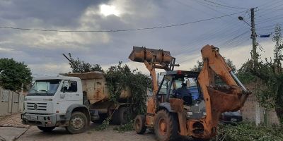 Equipe da Infraestrutura realiza podas e recolhimento de entulhos em Camaquã