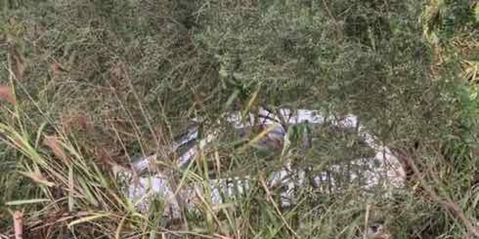 Carro é encontrado abandonado na ERS-350 entre Camaquã e Arambaré 