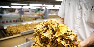 25 de maio: dia de celebrar indústria e ações de combate ao trabalho infantil