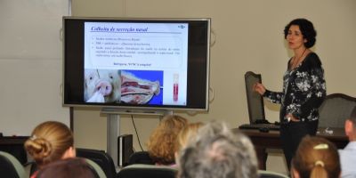 Fepagro Saúde Animal debate influenza suína