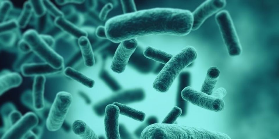 O que tornam as bactérias mais resistentes aos antibióticos?