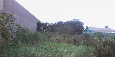 Espaço do Leitor: mato tomando conta em um terreno baldio na Rua Paulo B. da Costa em Camaquã