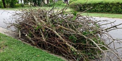 Criação de calendário de recolhimento de podas e entulhos é apresentada na Câmara de Camaquã