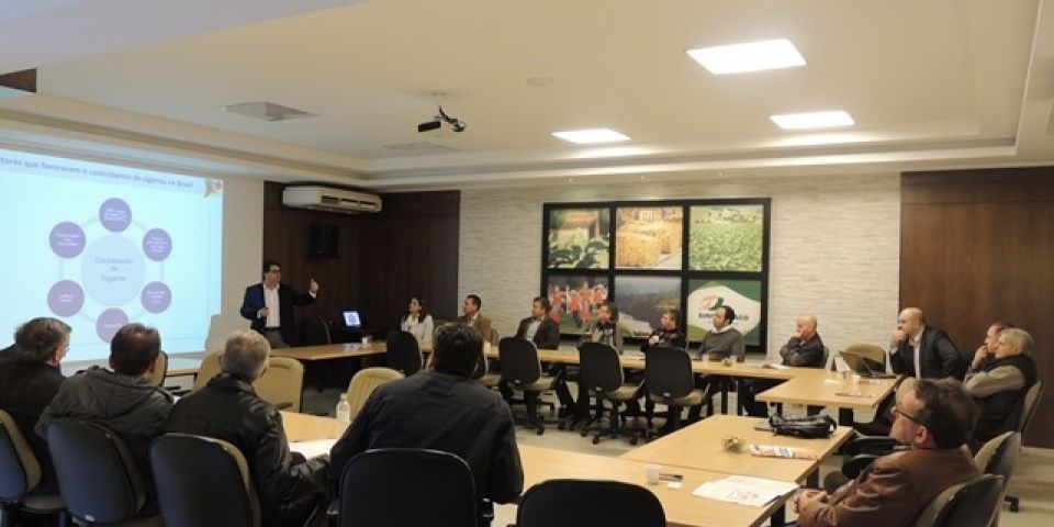 Mercado ilegal de cigarros movimenta cerca de R$ 6 bilhões por ano no Brasil