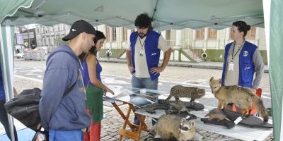 Gestão Ambiental divulga programação alusiva ao Dia Mundial do Meio Ambiente