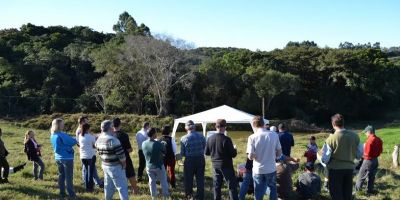 Produtores de leite participam de Dia de Campo em Camaquã