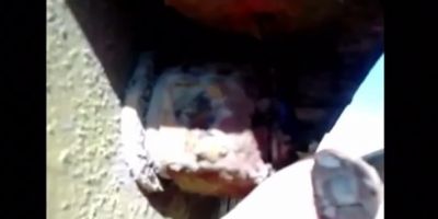 Prefeitura de Arambaré e Daer planejam convênio para consertar ponte em situação de risco