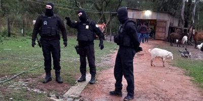 Operação contra abigeato é deflagrada em Pelotas e região