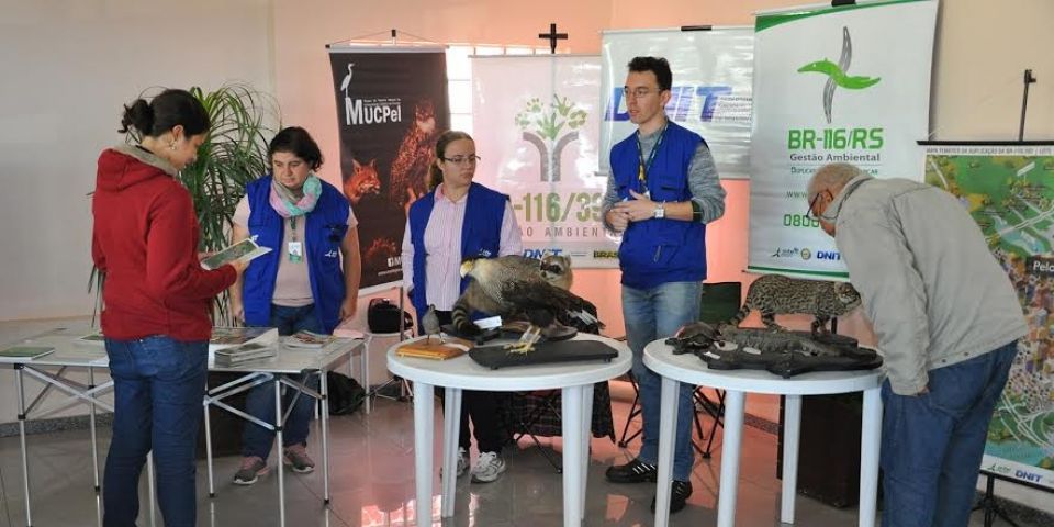 Meio ambiente em festa com exposição de animais empalhados e Caravana Cultural do Mirim