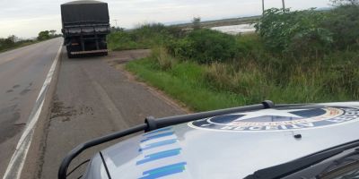 Receita Federal apreende caminhão com bebidas na BR-290 em Eldorado do Sul