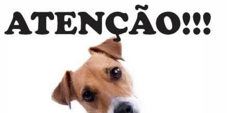 Nota de esclarecimento do Canil Gatil Municipal de Camaquã