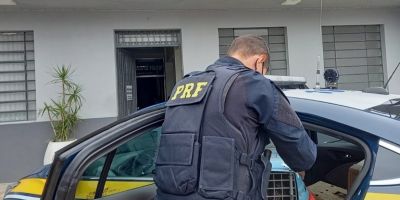 PRF resgata aves exóticas sendo transportadas ilegalmente em Camaquã