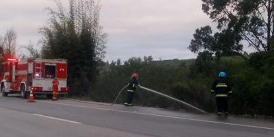 Bombeiros Voluntários de Tapes atendem incêndio às margens da BR-116  