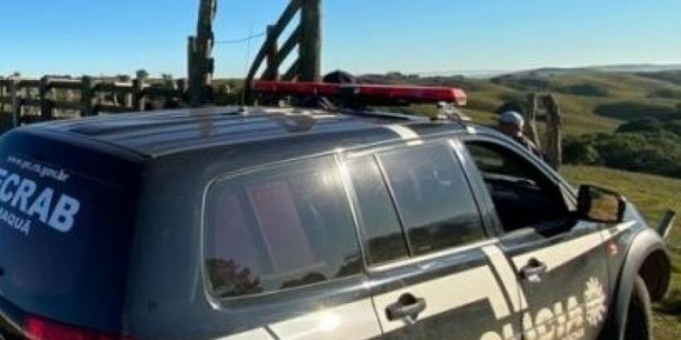 Decrab estoura operação contra furto abigeato em propriedade no interior de Camaquã