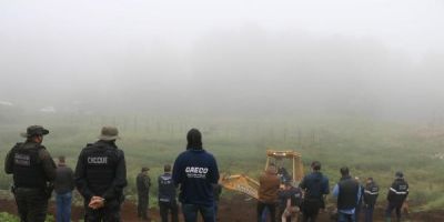 MP deflagra operação contra quadrilha que comercializava carne de cavalo no RS