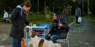 Arca Camaquã colhe assinaturas em defesa dos animais