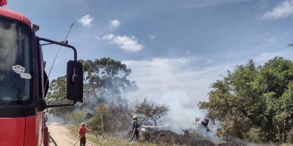 Bombeiros controlam incêndio em vegetação às margens de estrada em Arambaré