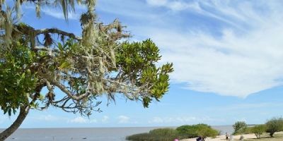 Valores de diária do Camping de São Lourenço do Sul são fixados para a temporada de veraneio