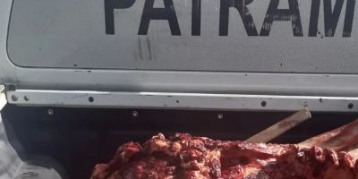 Quase meia tonelada de carne de cavalo é apreendida em abatedouro clandestino em Pelotas