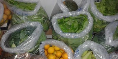 A alimentação escolar na rede municipal é garantia de qualidade no prato