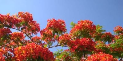 Segue fazendo calor nesta terça em Camaquã, quando começa o verão