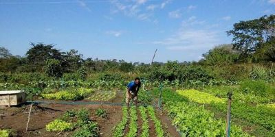 Agricultores familiares devem receber auxílio emergencial de R$ 2,5 mil e R$ 3 mil