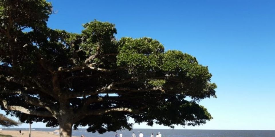 Todas as praias da região de Camaquã estão próprias para banho, diz Fepam