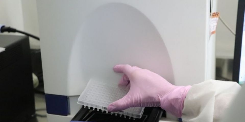 Camaquã se aproxima de 10 mil casos de coronavírus desde o início da pandemia 