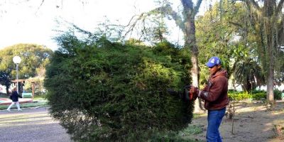 Equipe realiza trabalho de manutenção e limpeza em diversos pontos da cidade de Camaquã