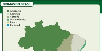 Reservação Ambiental:  Cadastro Ambiental Rural regulamenta bioma Pampa