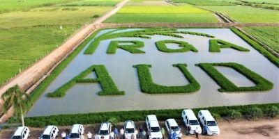 Irga de Camaquã participa do evento Dia de Campo nesta quinta (10)