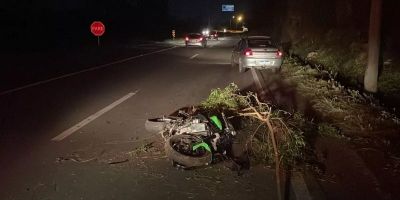 Motociclista morre após perder o controle e bater em árvore na RSC-453