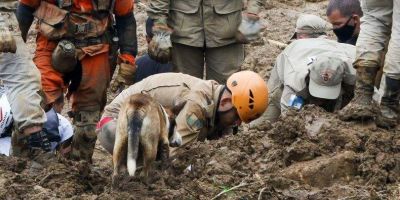 Mortes pela chuva em Petrópolis chegam a 120