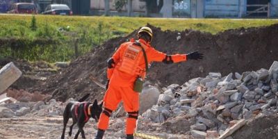 RS enviará quatro duplas de bombeiro e cão para apoio em buscas após a tragédia em Petrópolis