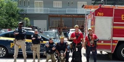 Bombeiros resgatam cachorra de penhasco a 20 metros na Serra Gaúcha  