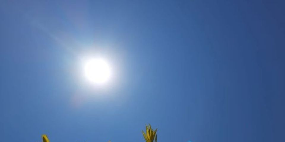Sol aparece na maioria das regiões do RS nesta terça-feira 
